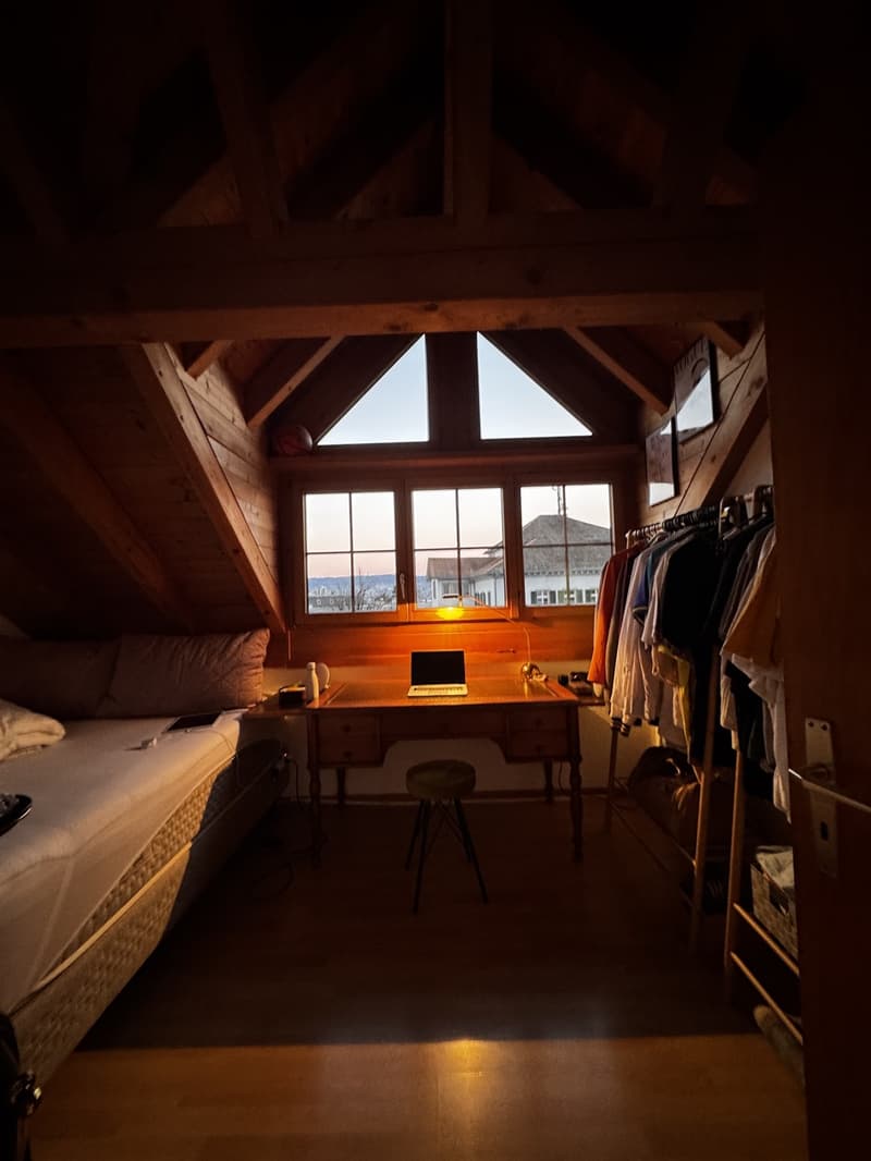 Dachwohnung im Herzen von Wädenswil (4)