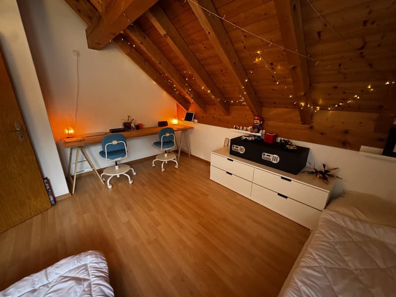 Dachwohnung im Herzen von Wädenswil (3)