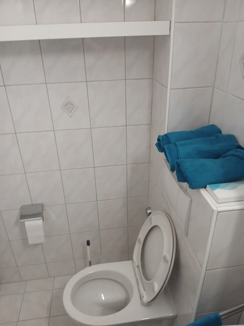 WG-Zimmer in Kriens/Luzern gemütlich & zentral (8)