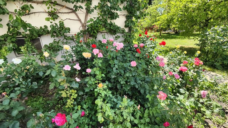 Garten von Unten