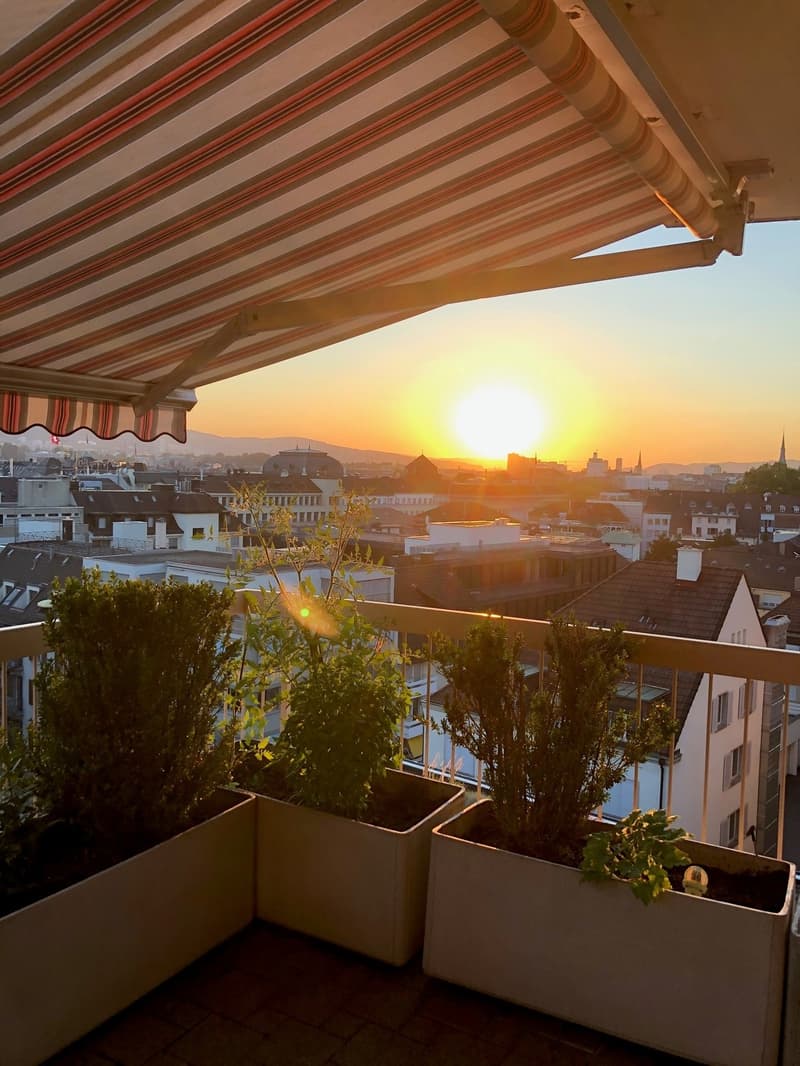 2 ½ Zimmer-Wohnung, 8008 Zürich (3)