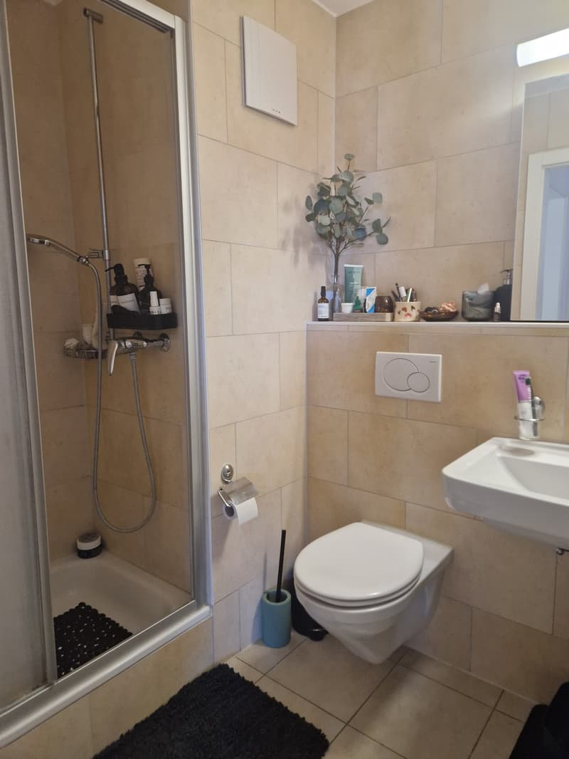Sous-location Appartement 2,5 pièces meublé à Villars-sur-Glâne (1 an) (11)