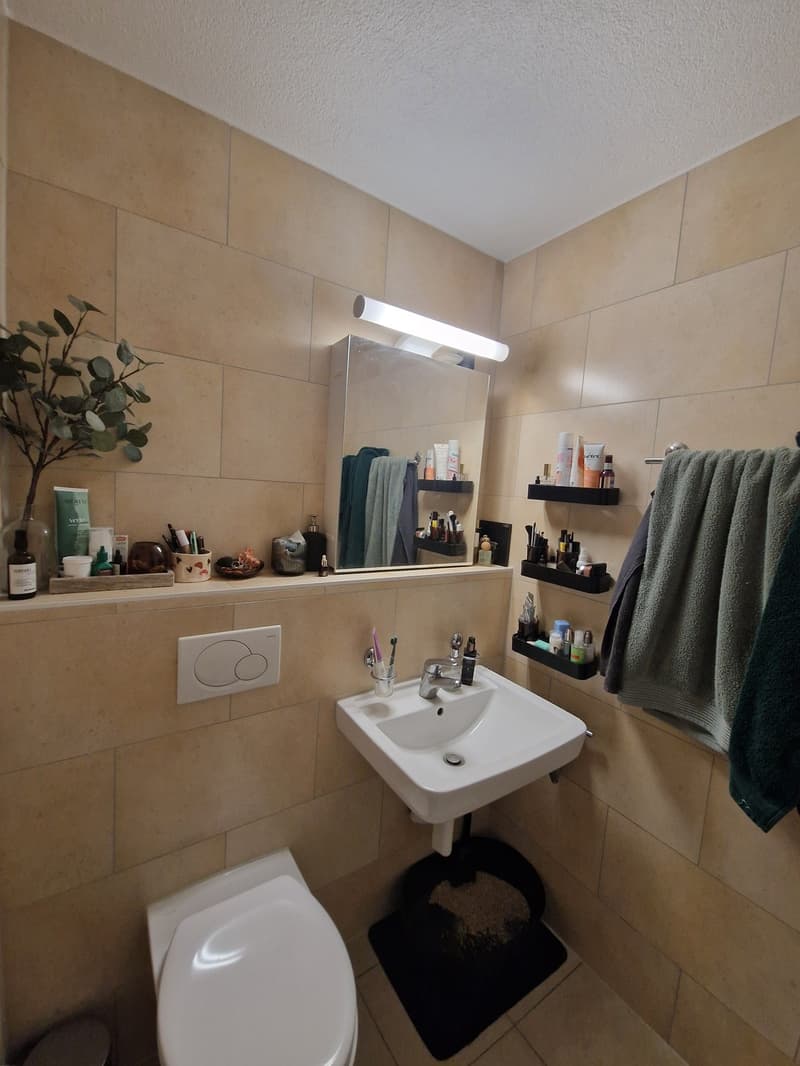 Sous-location Appartement 2,5 pièces meublé à Villars-sur-Glâne (1 an) (7)