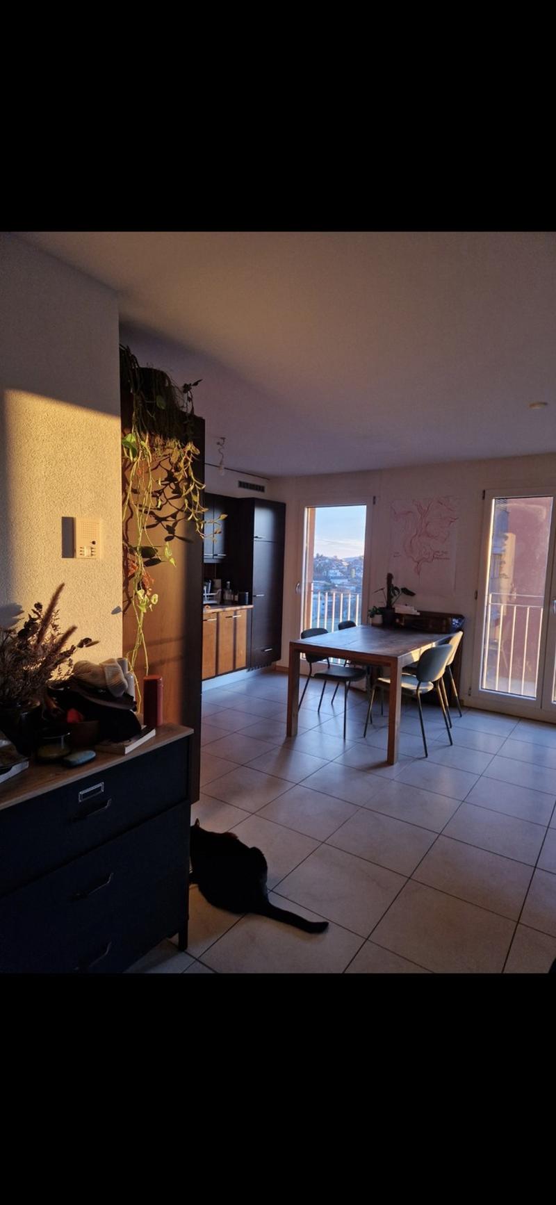 Sous-location Appartement 2,5 pièces meublé à Villars-sur-Glâne (1 an) (4)