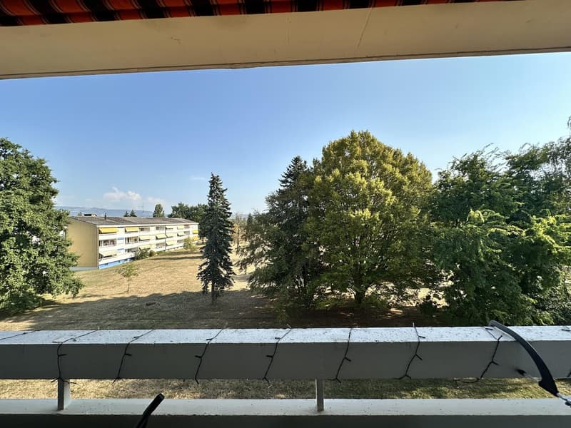 Appartement 5 pièces, 1237 Avully (9)