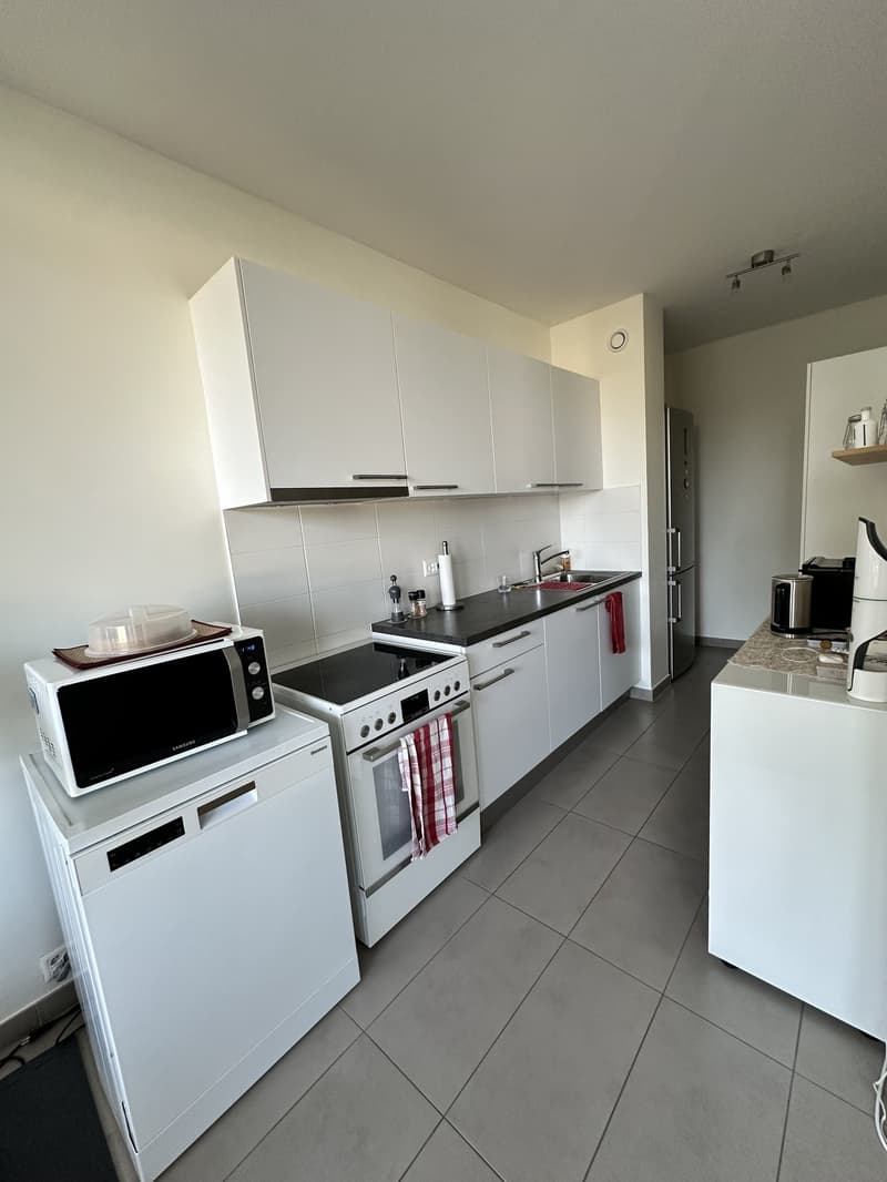 Appartement 5 pièces, 1237 Avully (4)