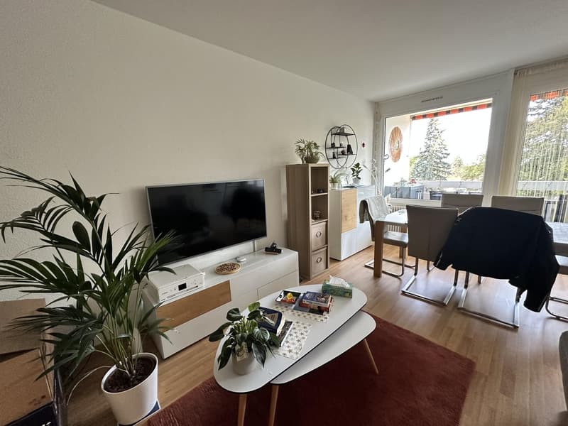 Appartement 5 pièces, 1237 Avully (2)