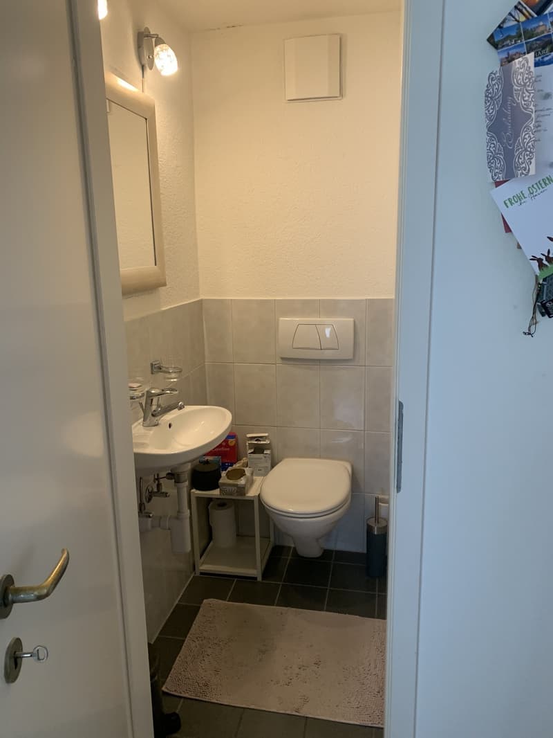 WG Zimmer in Zürich Witikon mit Balkon, Seeblick und Garten ab 01.10. zu vermieten (4)