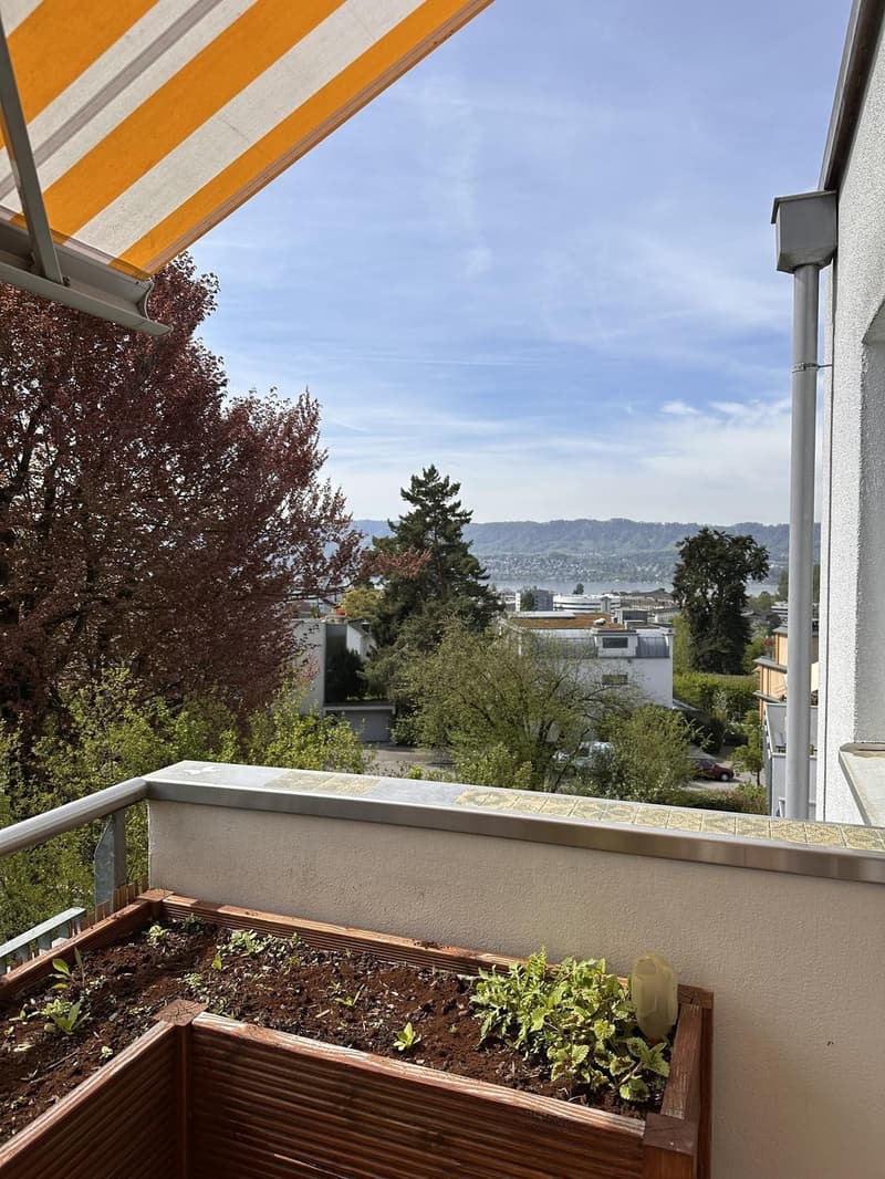 WG Zimmer in Zürich Witikon mit Balkon, Seeblick und Garten ab 01.10. zu vermieten (10)