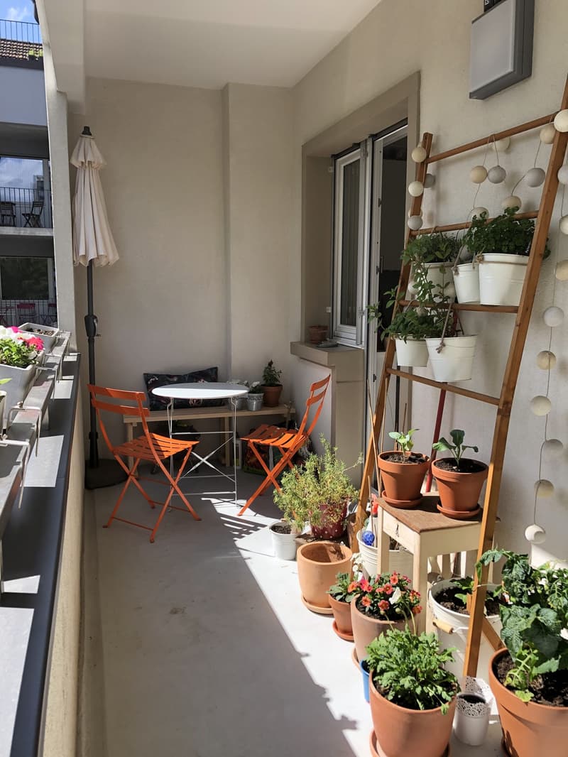 Helle 2,5 Zimmer Wohnung im Gundeli (3)