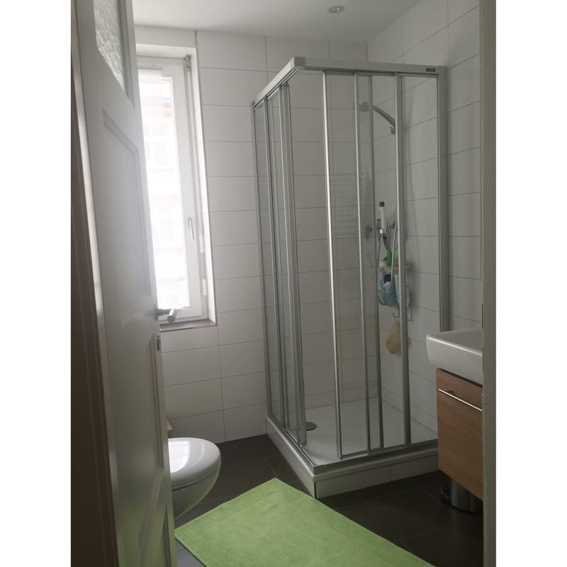 Helle 2,5 Zimmer Wohnung im Gundeli (8)