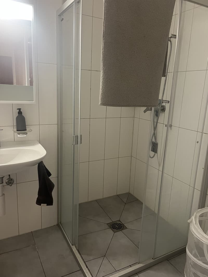 3 ½ rooms apartment, 3960 Sierre (11)