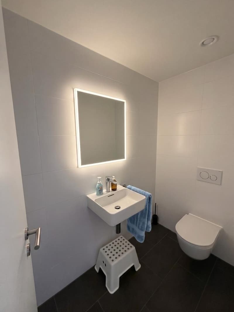 Exklusive 4.5-Zimmer-Wohnung in Eigentumsstandard atemberaubender Ausblick auf den Rheinfall" (6)