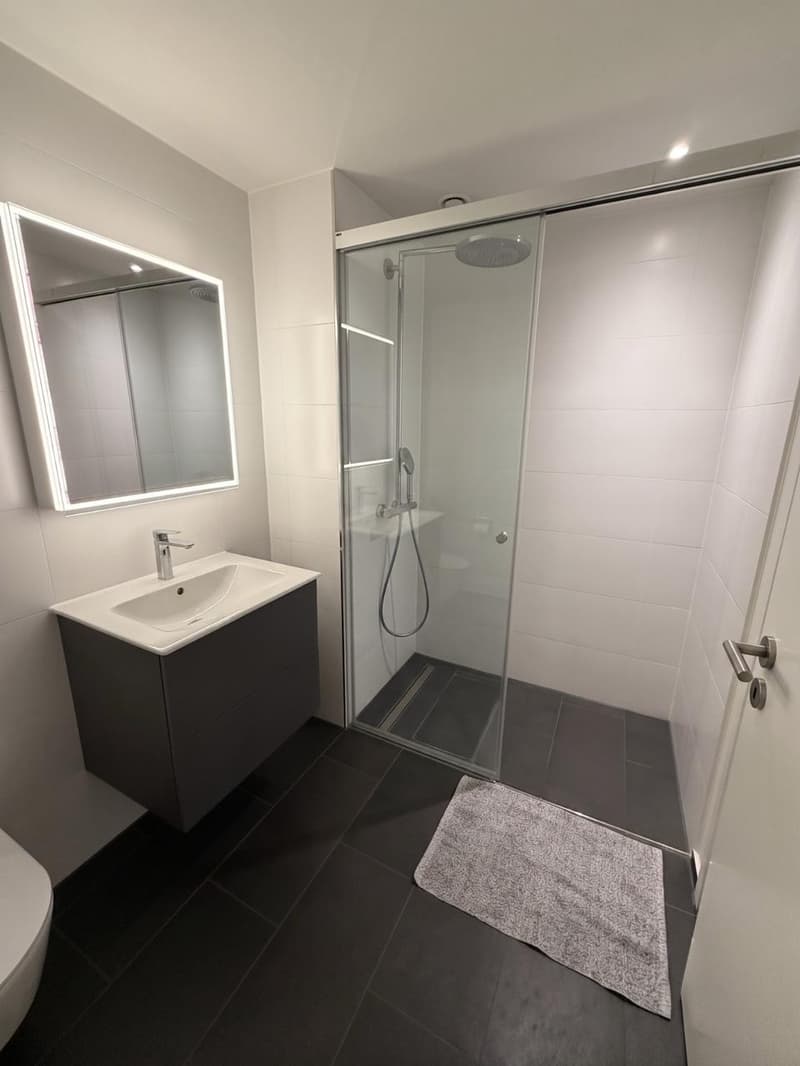 Exklusive 4.5-Zimmer-Wohnung in Eigentumsstandard atemberaubender Ausblick auf den Rheinfall" (9)