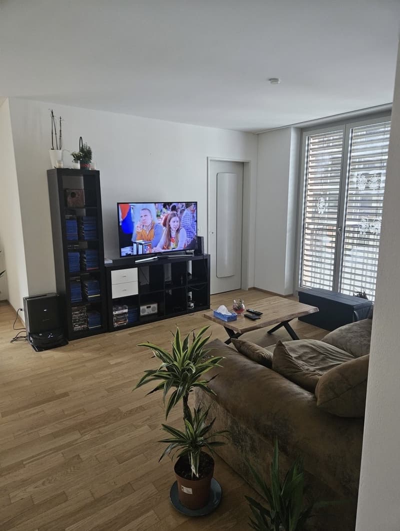 Nachmieterin gesucht: Schönes Zimmer in 3er-WG in Horw per 1. September. (5)