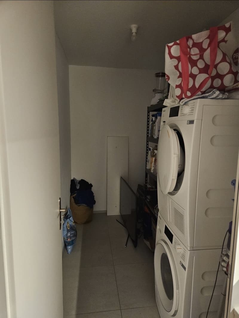 Nachmieterin gesucht: Schönes Zimmer in 3er-WG in Horw per 1. September. (8)