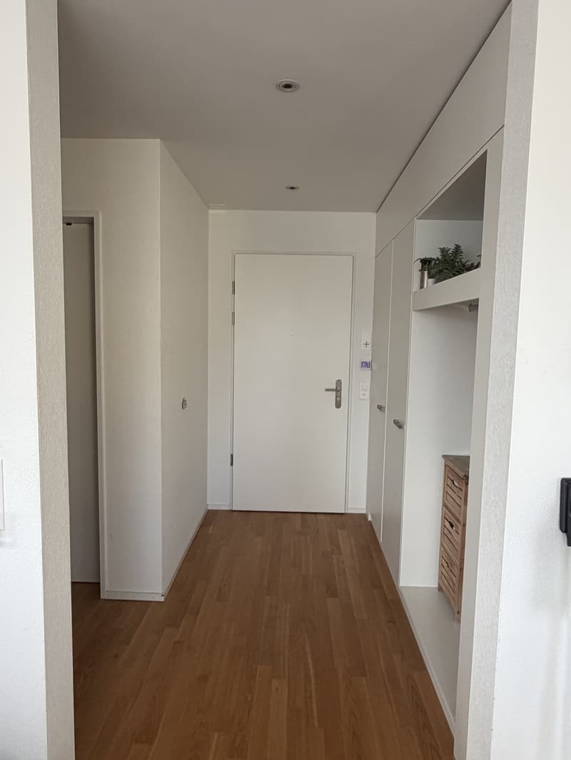 Moderne Wohnung in Heerbrugg (3)