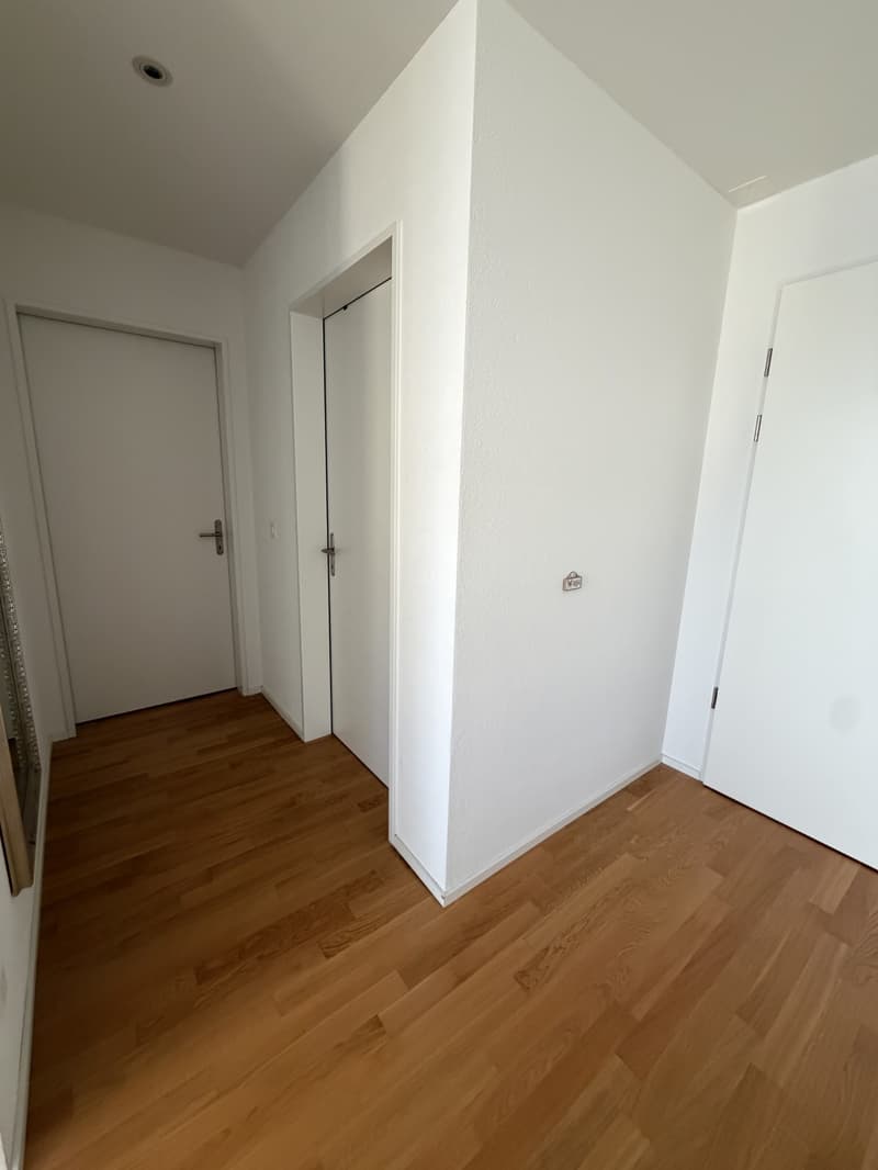 Moderne Wohnung in Heerbrugg (4)