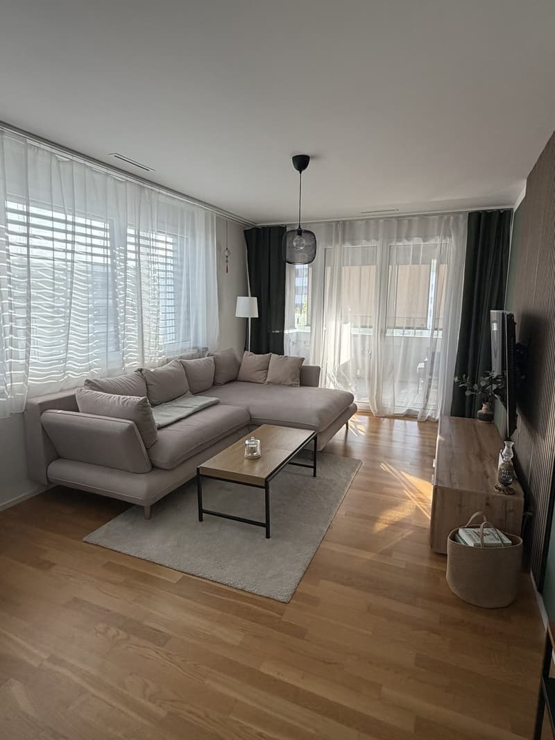 Moderne Wohnung in Heerbrugg (5)