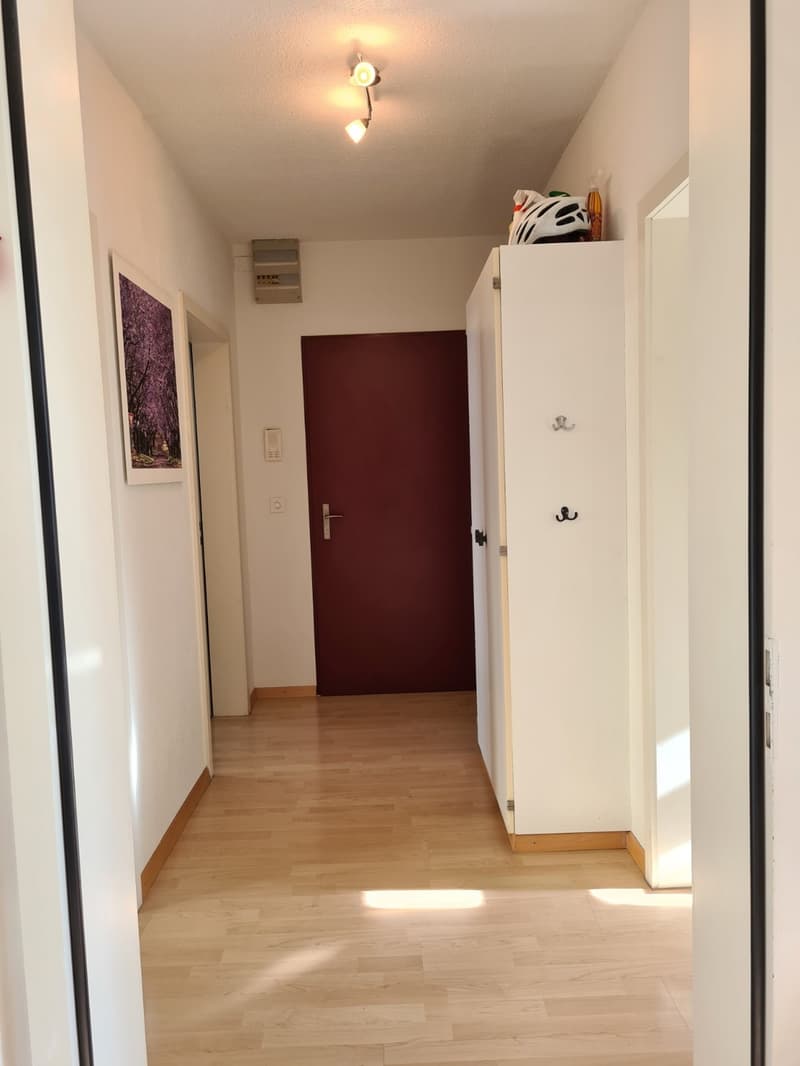 Charmante 3.5-Zimmer-Wohnung an der Kurvenstrasse in Zürich 8006 (6)