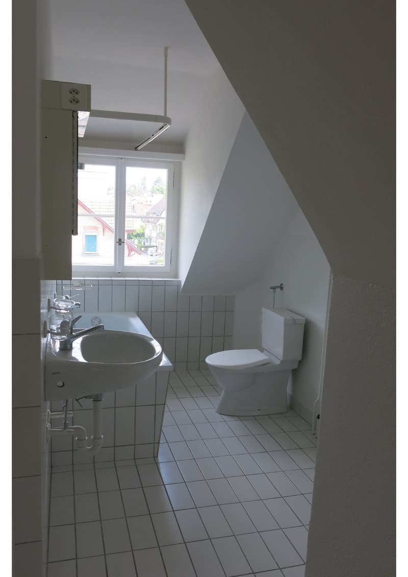 1 ½ Zimmer-Wohnung, 8400 Wintherthur (3)