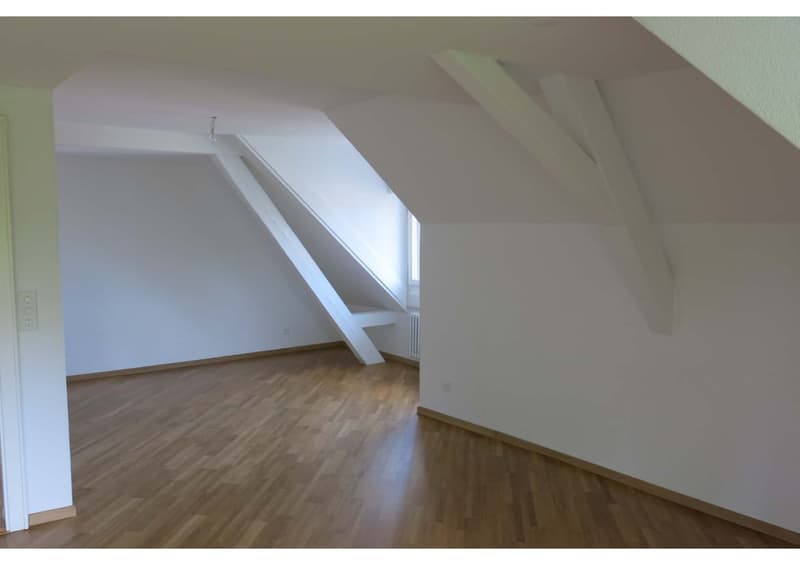 1 ½ Zimmer-Wohnung, 8400 Wintherthur (5)