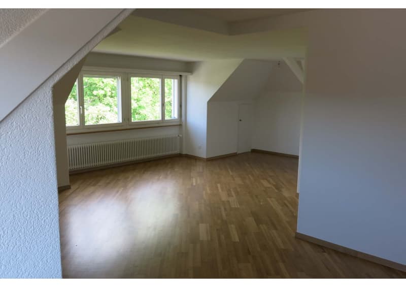 1 ½ Zimmer-Wohnung, 8400 Wintherthur (1)