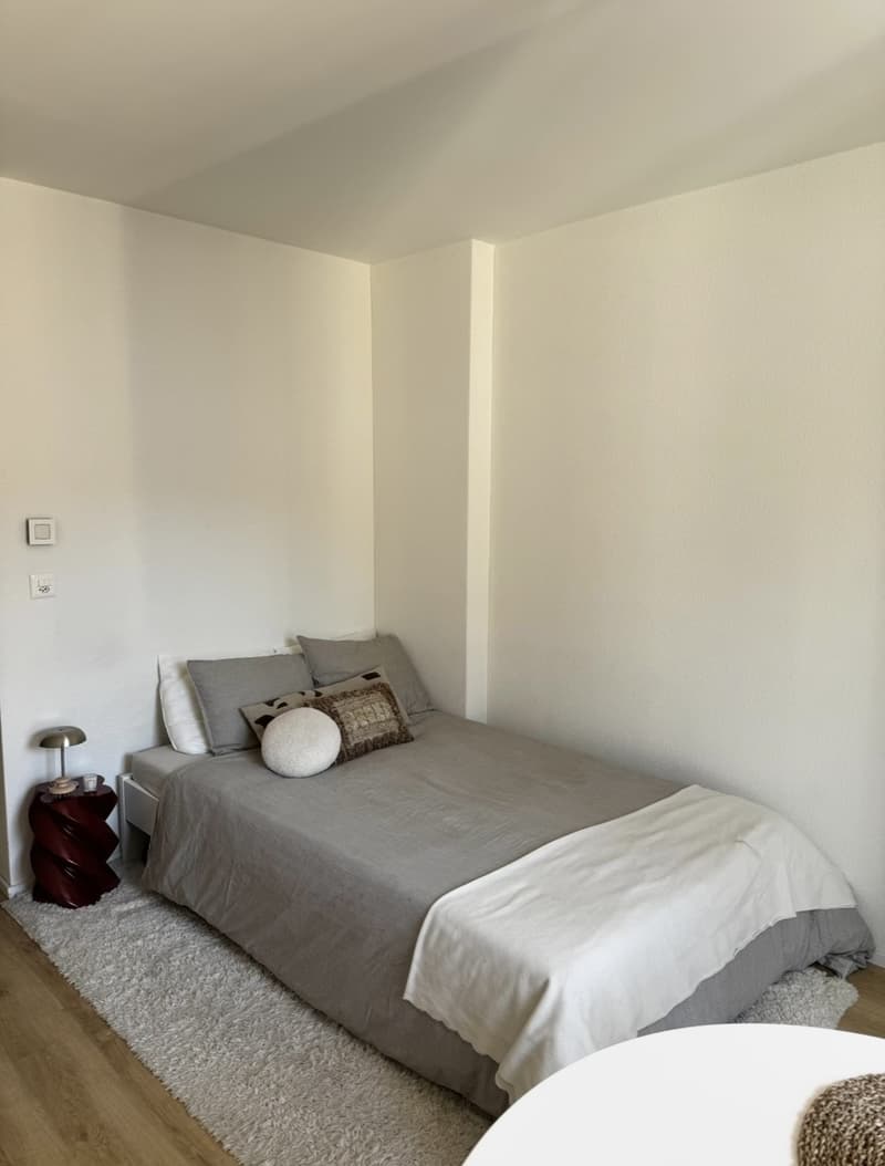 Rent a 1,5 rooms apartment in Zürich (8)