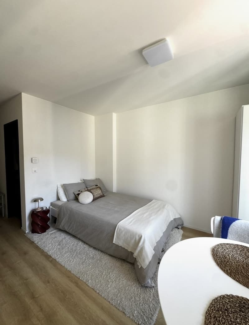 Rent a 1,5 rooms apartment in Zürich (9)