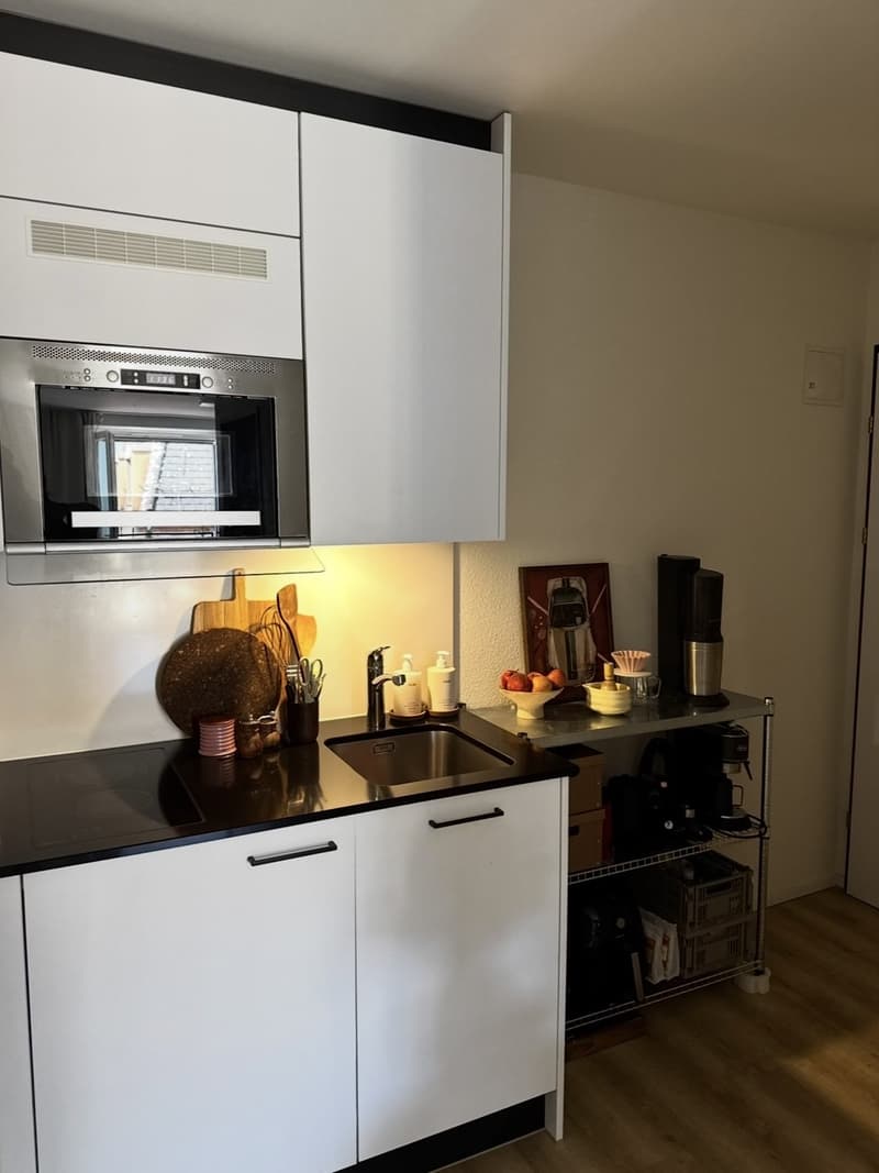 Rent a 1,5 rooms apartment in Zürich (5)