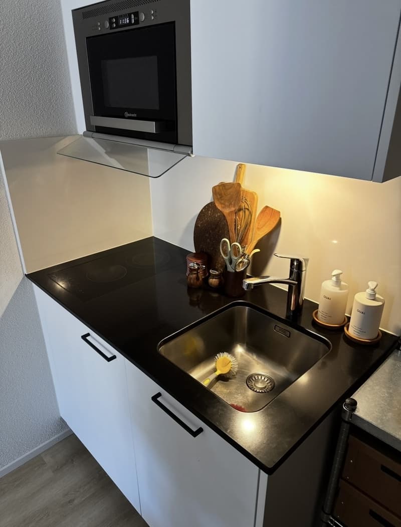 Rent a 1,5 rooms apartment in Zürich (6)