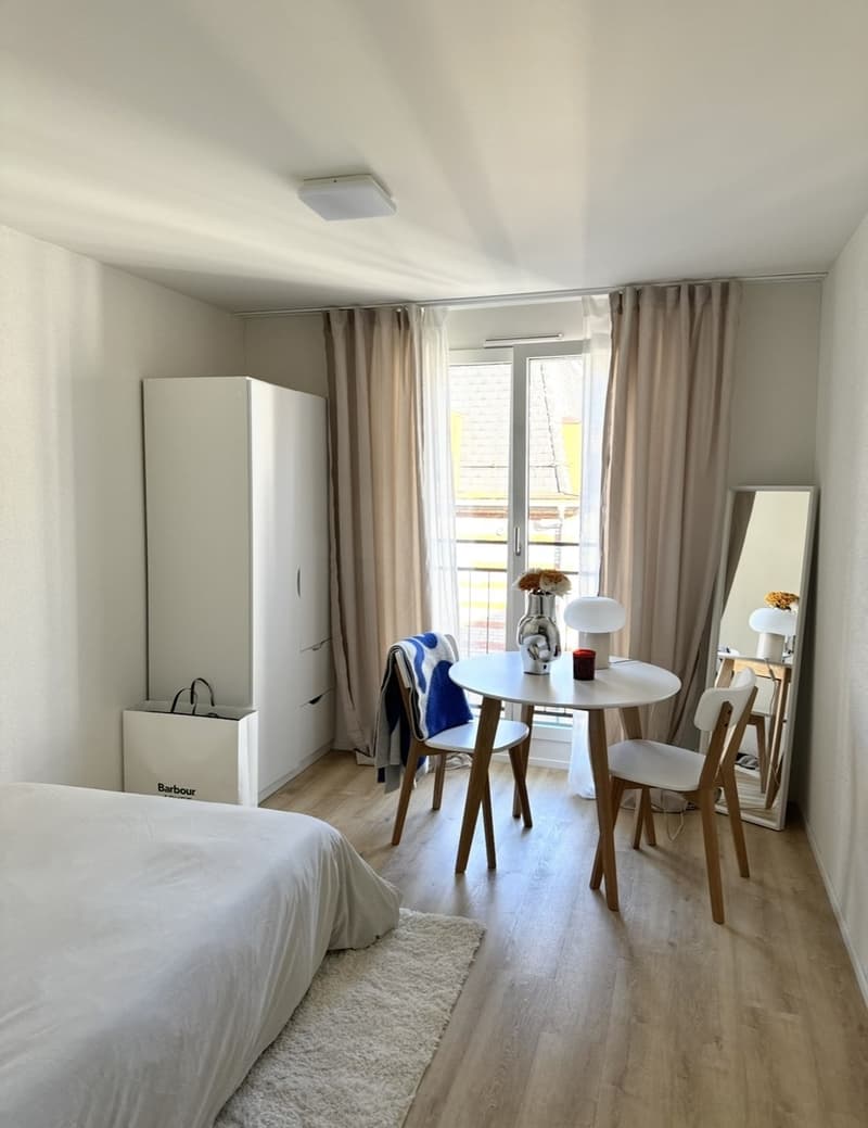 Rent a 1,5 rooms apartment in Zürich (1)