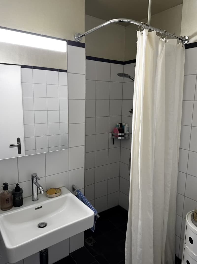 Rent a 1,5 rooms apartment in Zürich (11)