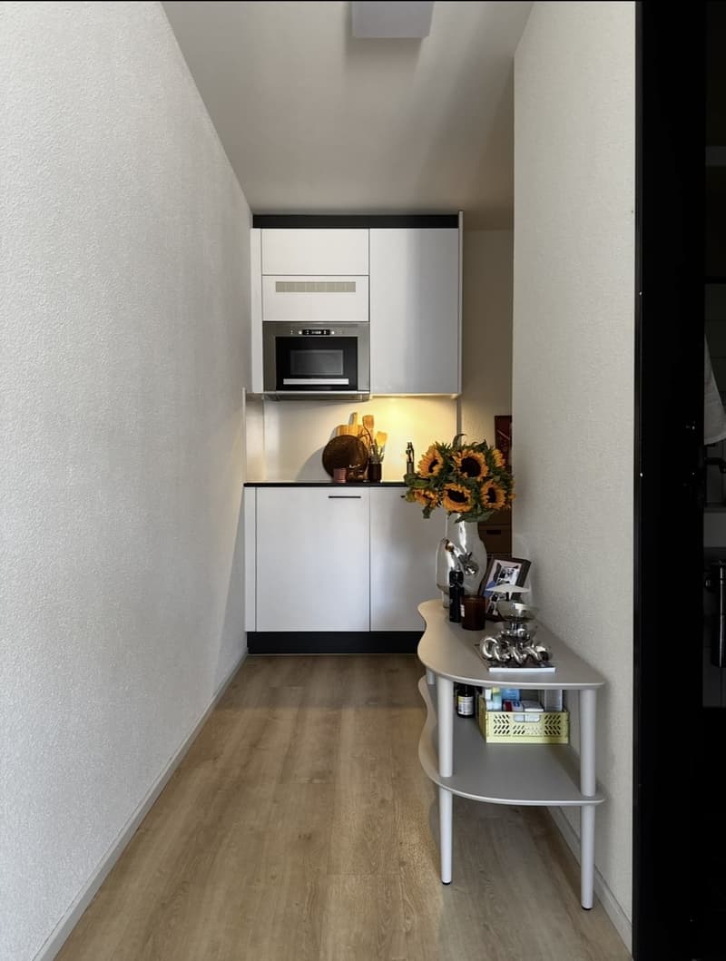 Rent a 1,5 rooms apartment in Zürich (4)