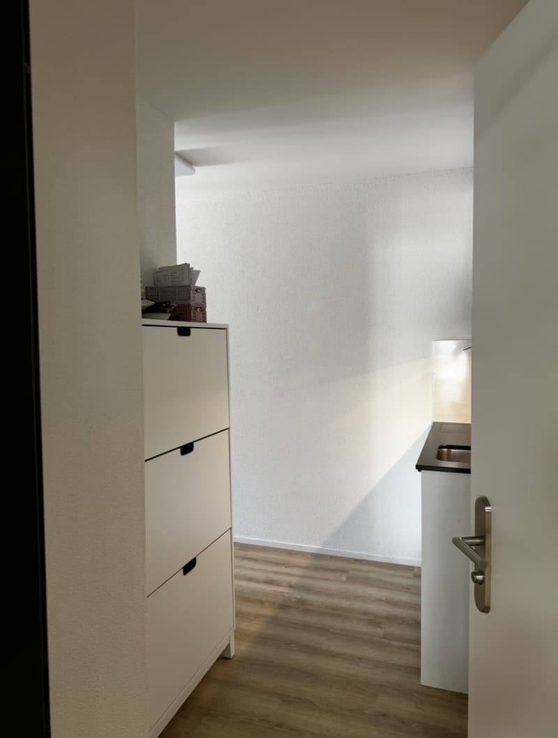 Rent a 1,5 rooms apartment in Zürich (3)