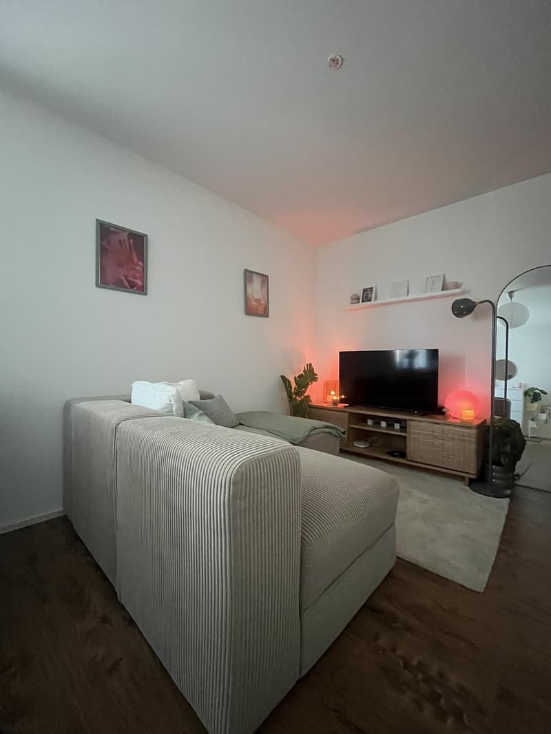 Charmante 2-Zimmer-Wohnung in Sursee  Nähe See (2)