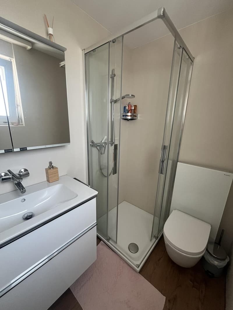 Charmante 2-Zimmer-Wohnung in Sursee  Nähe See (4)