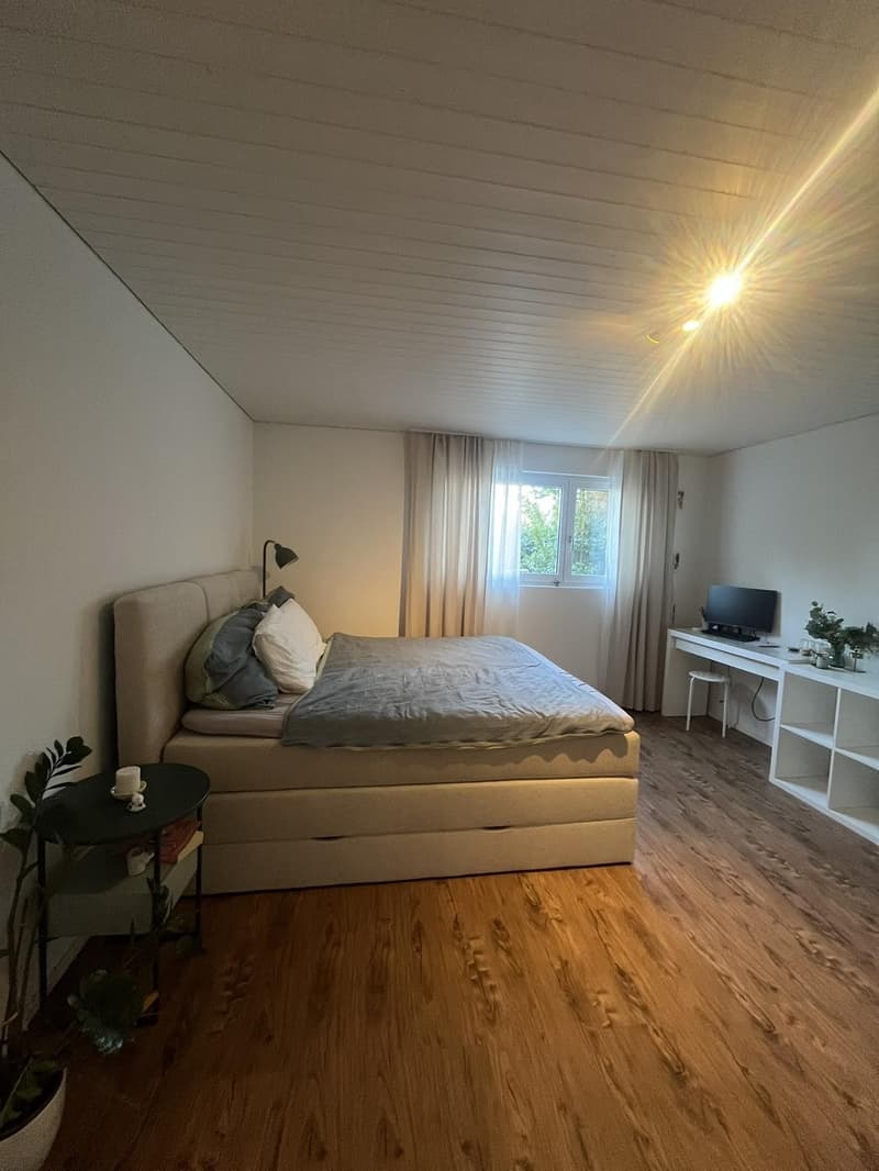 Charmante 2-Zimmer-Wohnung in Sursee  Nähe See (6)