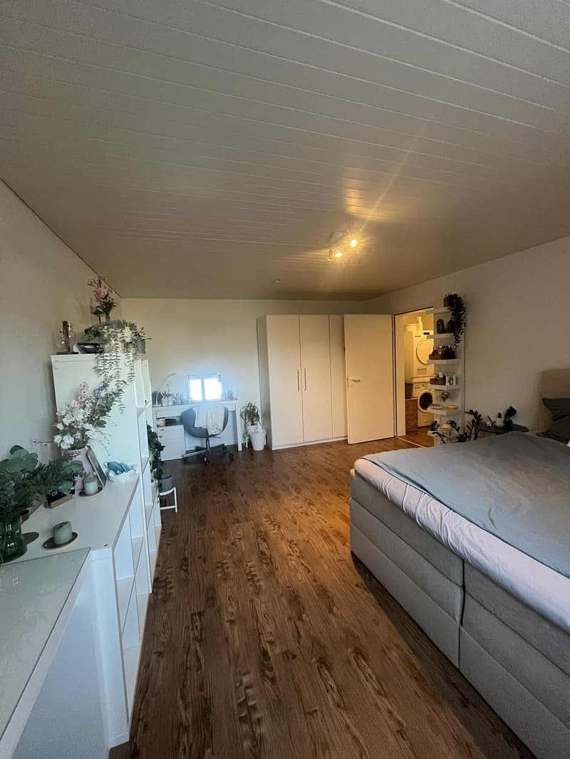 Charmante 2-Zimmer-Wohnung in Sursee  Nähe See (7)