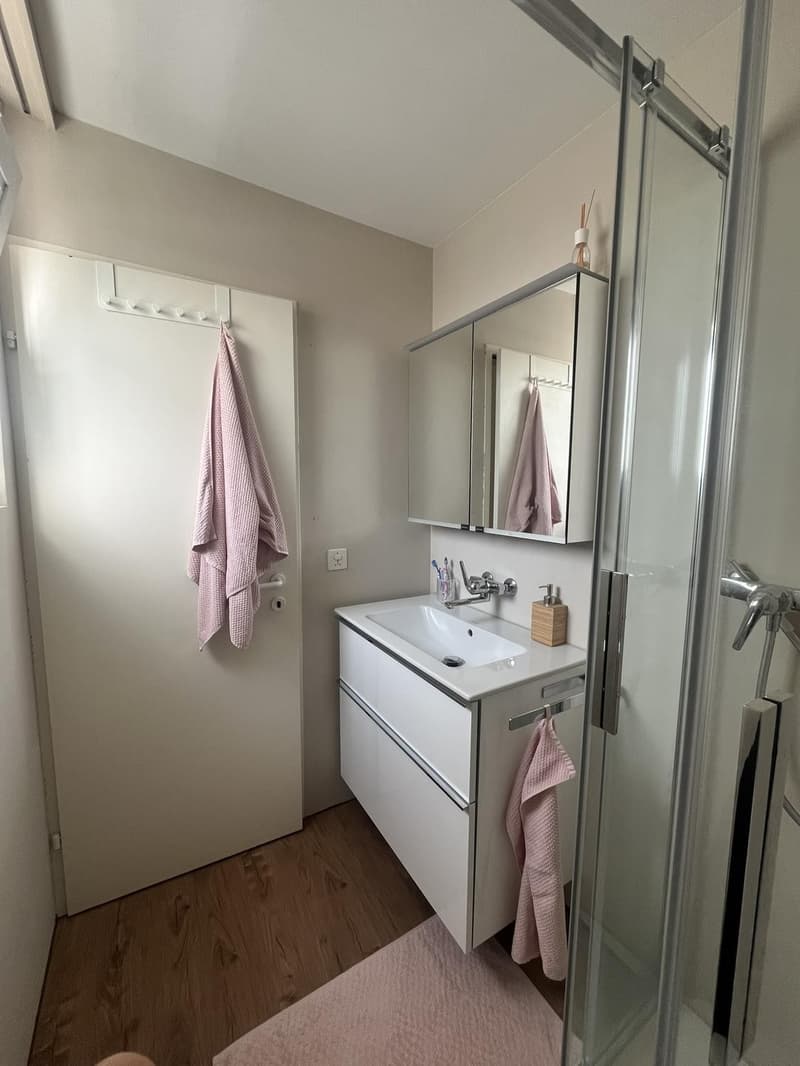 Charmante 2-Zimmer-Wohnung in Sursee  Nähe See (5)