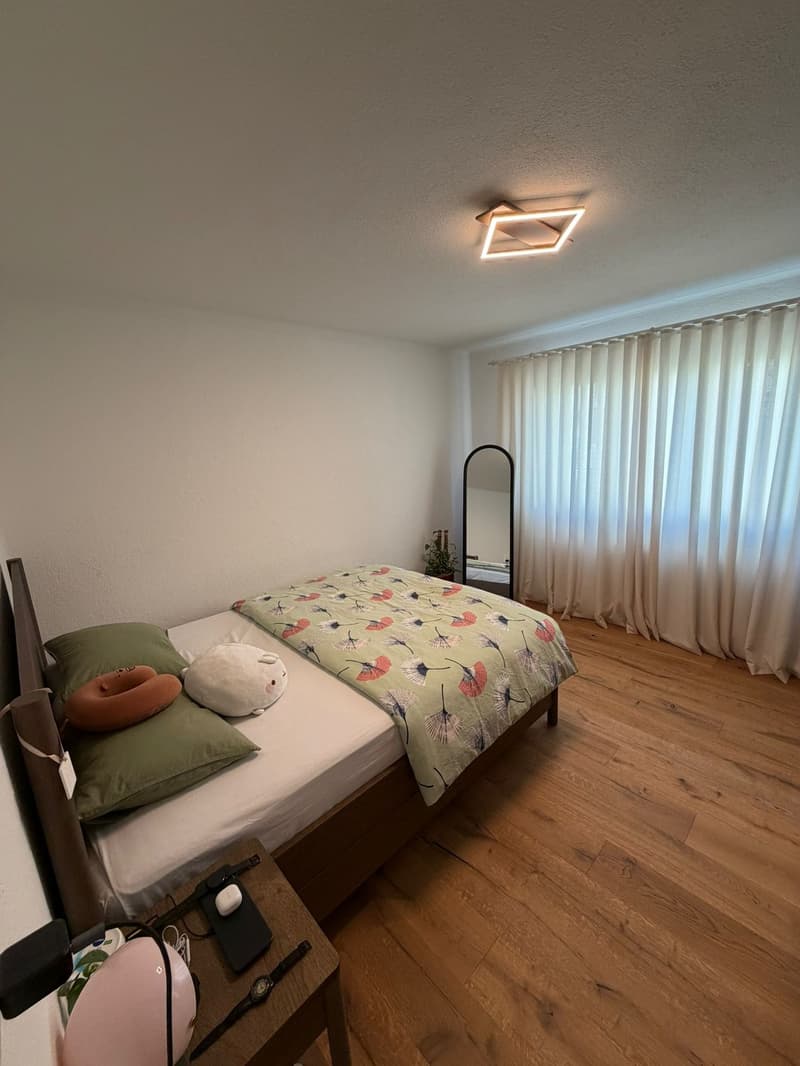 2 ½ Zimmer-Wohnung, 8915 Weiningen (7)