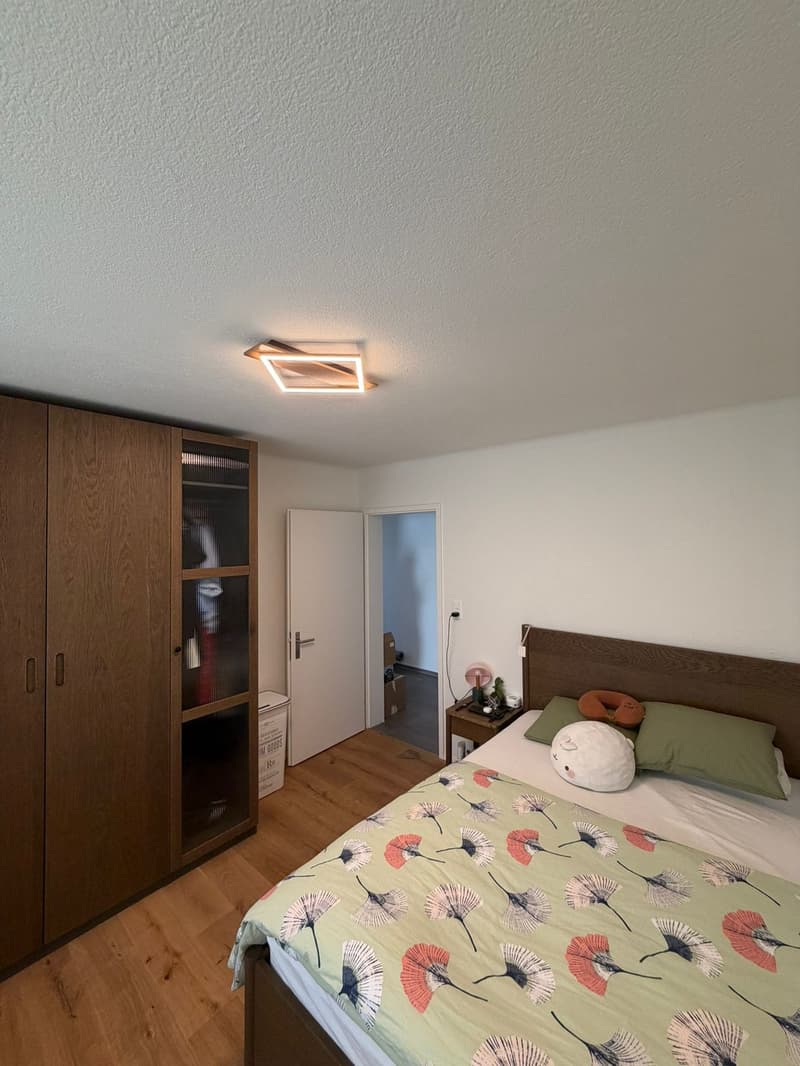 2 ½ Zimmer-Wohnung, 8915 Weiningen (9)