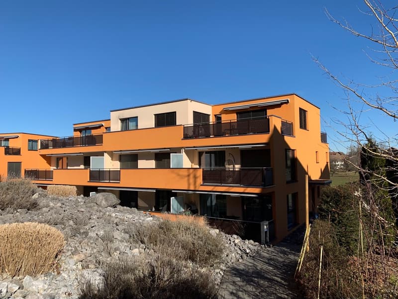 Schöne 3.5 Zimmerwohnung (2)
