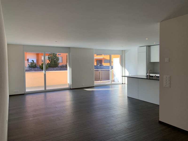 Schöne 3.5 Zimmerwohnung (1)