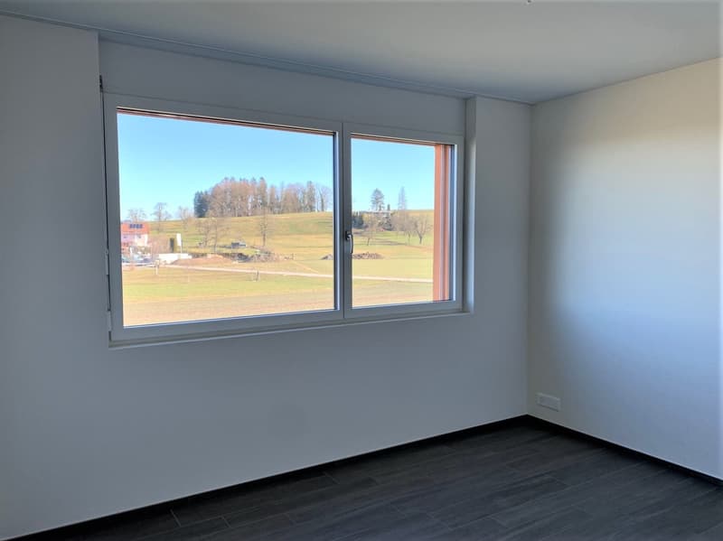 Schöne 3.5 Zimmerwohnung (6)