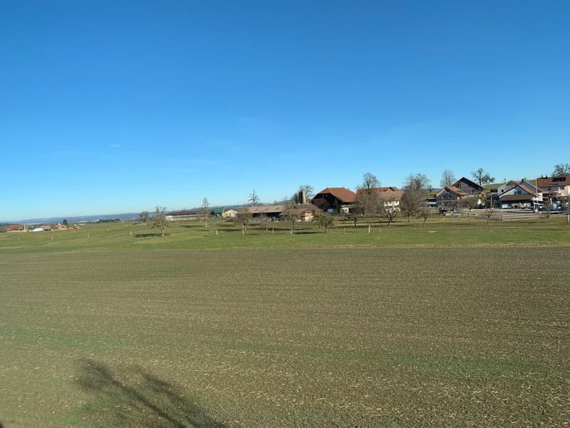 Schöne 3.5 Zimmerwohnung (7)