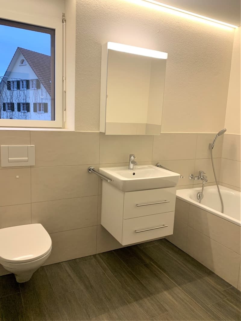 Schöne 3.5 Zimmerwohnung (5)