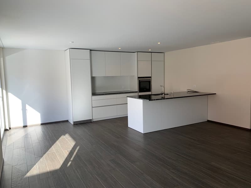 Schöne 3.5 Zimmerwohnung (3)
