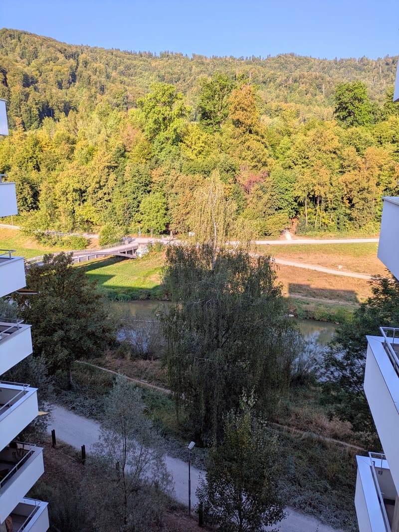 WG-Zimmer in moderner 3.5-Zimmer-Wohnung mit Sihlblick (6)