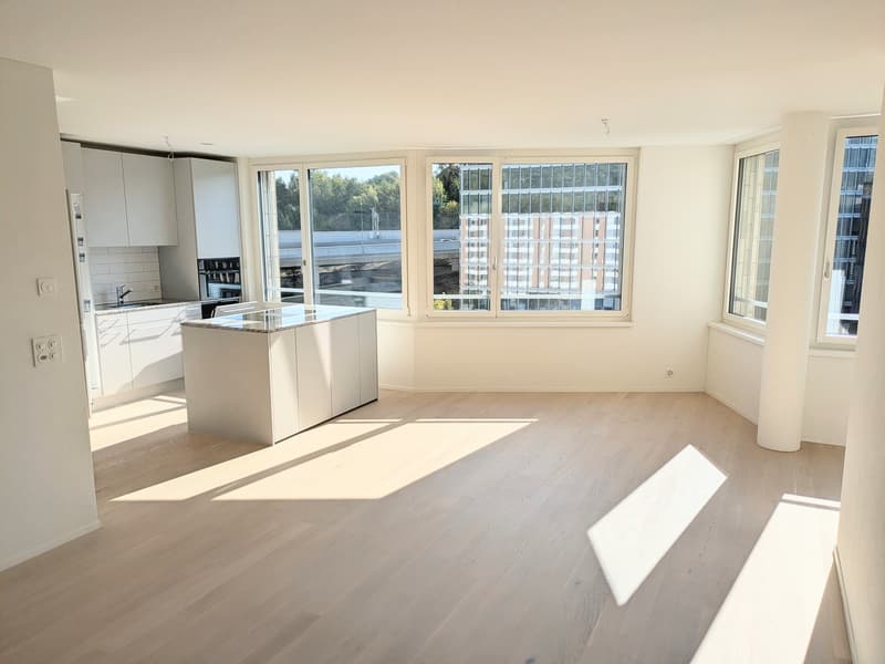 WG-Zimmer in moderner 3.5-Zimmer-Wohnung mit Sihlblick (1)